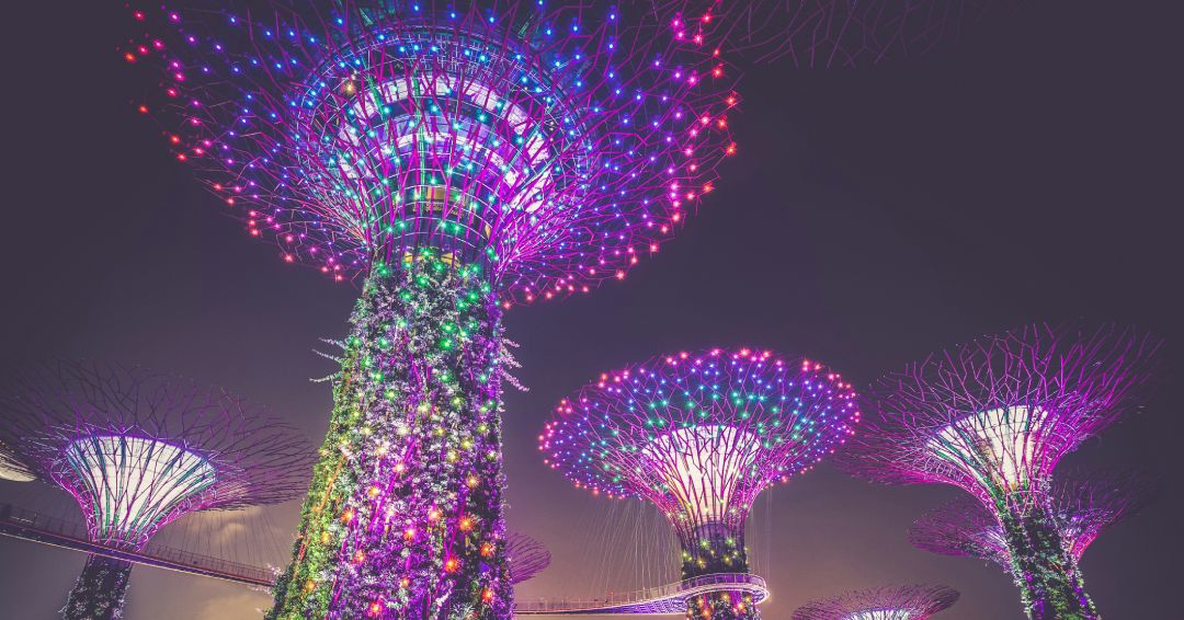 gardens by the bay (2)