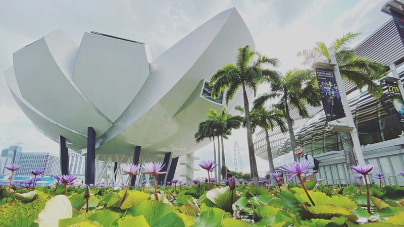 Art Science Museum