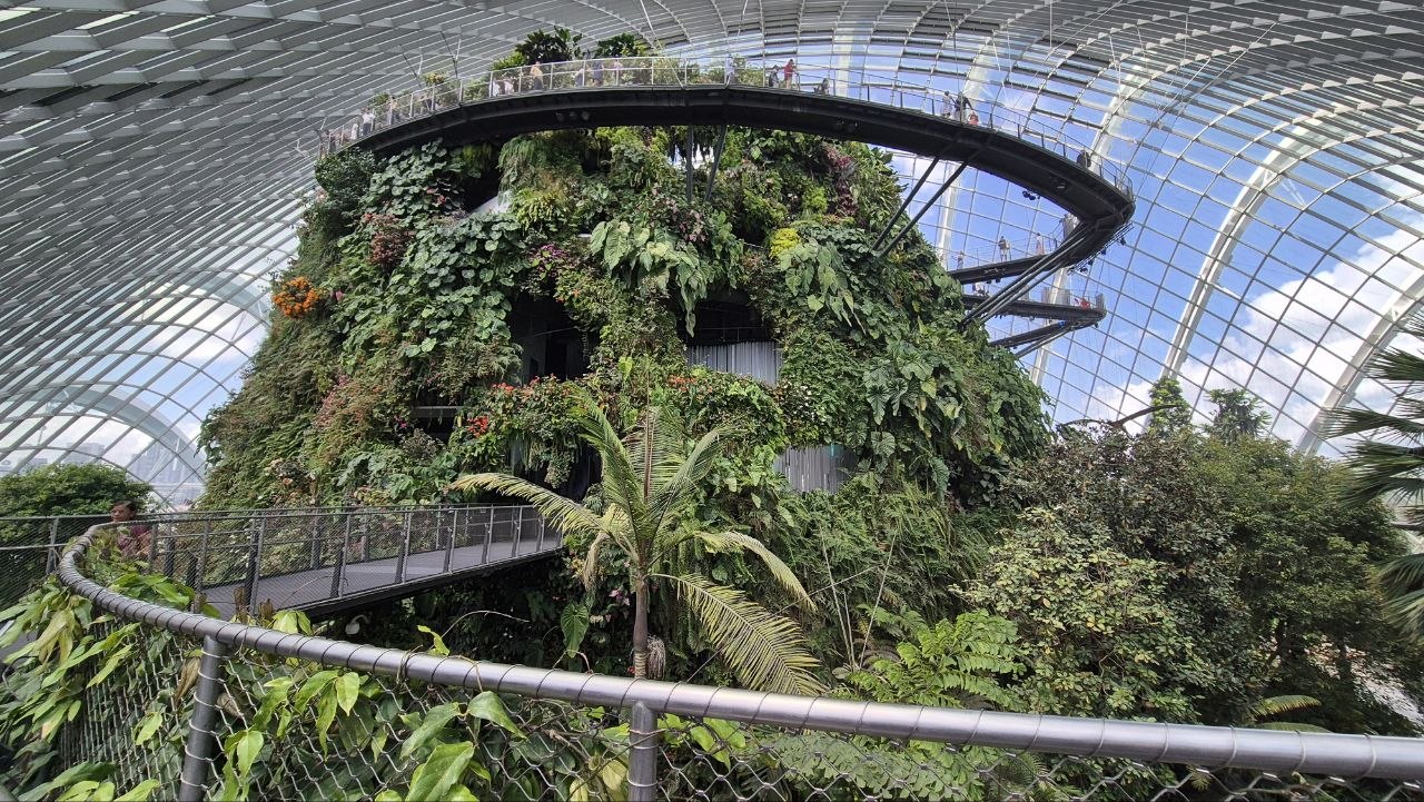 GBTB_cloud-forest