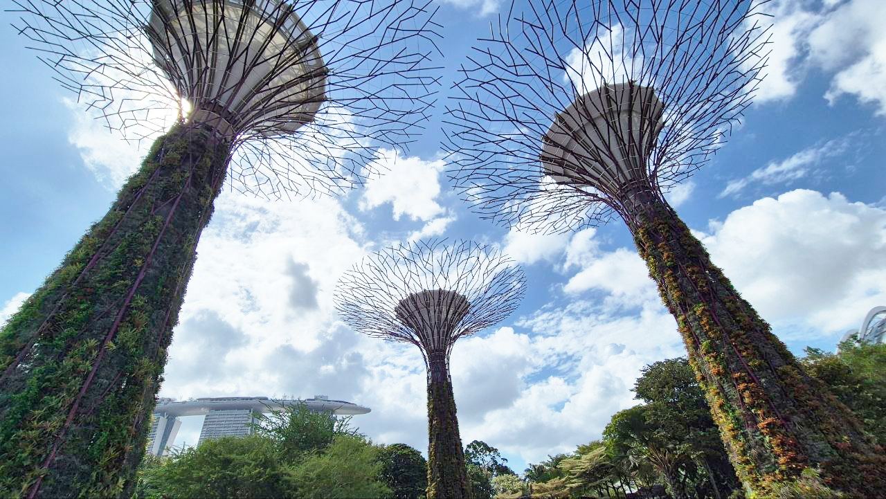 GBTB_supertrees