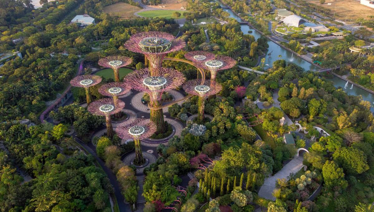 gardens by the bay