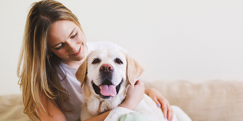 Pet Staycation
