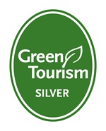 GT generic silver