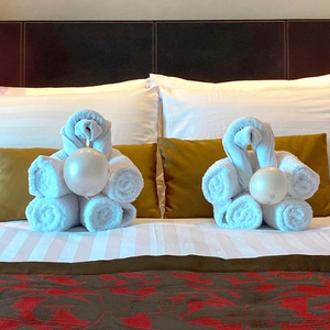 Art towel