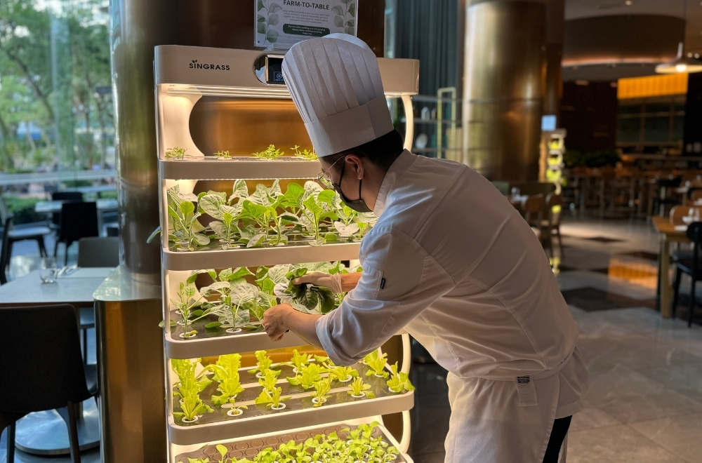 Wedding Sustainability